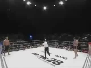 brothers emelianenko